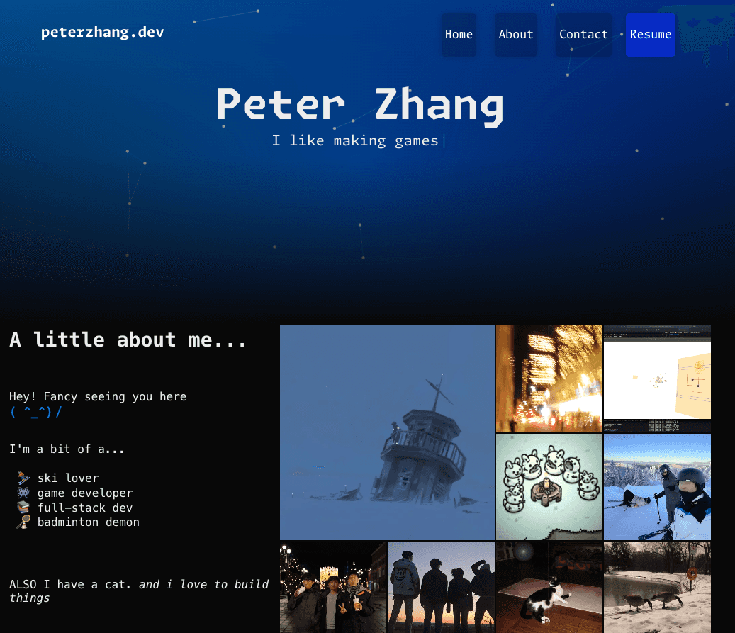 Earlier version of the peterzhang.dev portfolio